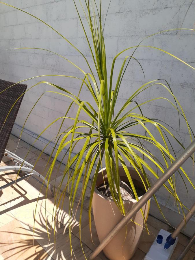 Itauna Saquarema Beach House מראה חיצוני תמונה